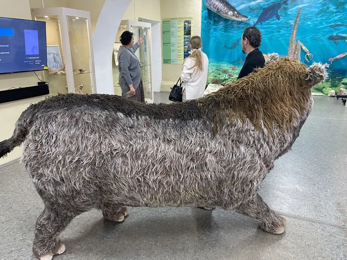 01.21 Поездка в Макарьев (1)